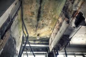 Best Air Quality Testing for Mold Spores  in Leominster, MA